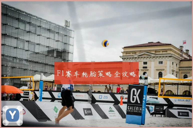 F1赛车轮胎策略全攻略