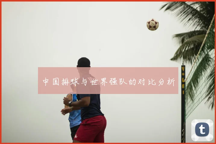 中国排球与世界强队的对比分析